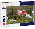 Roseate Spoonbill – 1000 Piece Wildlife Puzzle