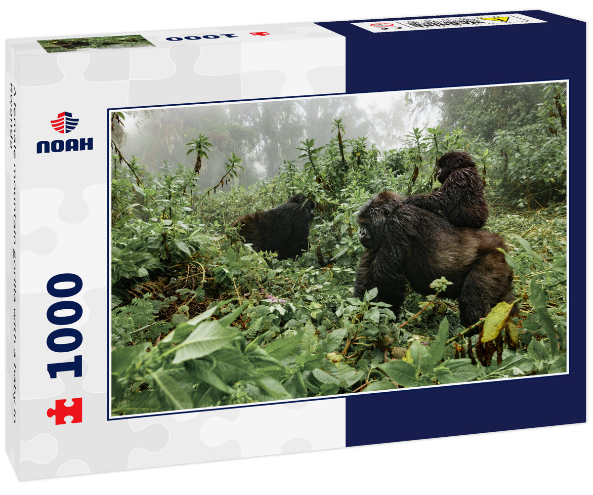 A female mountain gorilla with a baby in Rwanda 1000pc Puzzle