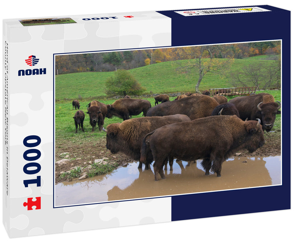 Herd of American Bisons in Delaware County Upstate New York 1000pc Puzzle