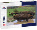Herd of American Bisons in Delaware County Upstate New York 1000pc Puzzle