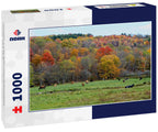 Autumn scene with cows in Delaware County New York 1000pc Puzzle