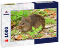 Cotton Rat at St. Mark's Wildlife Refuge – 1000 Piece Wildlife Puzzle