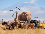 African Animals with Kilimanjaro – 1000 Piece Wildlife Puzzle