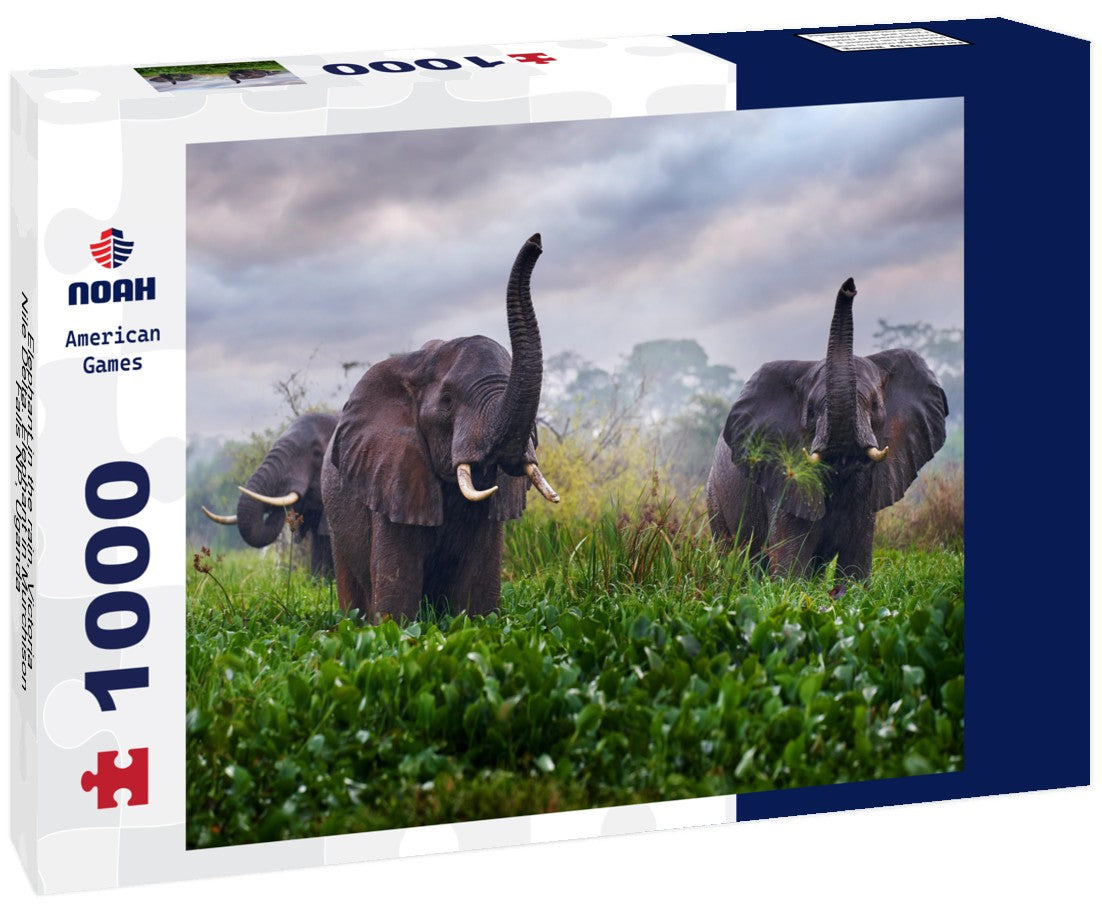 Elephant in the Rain – 1000 Piece Wildlife Puzzle