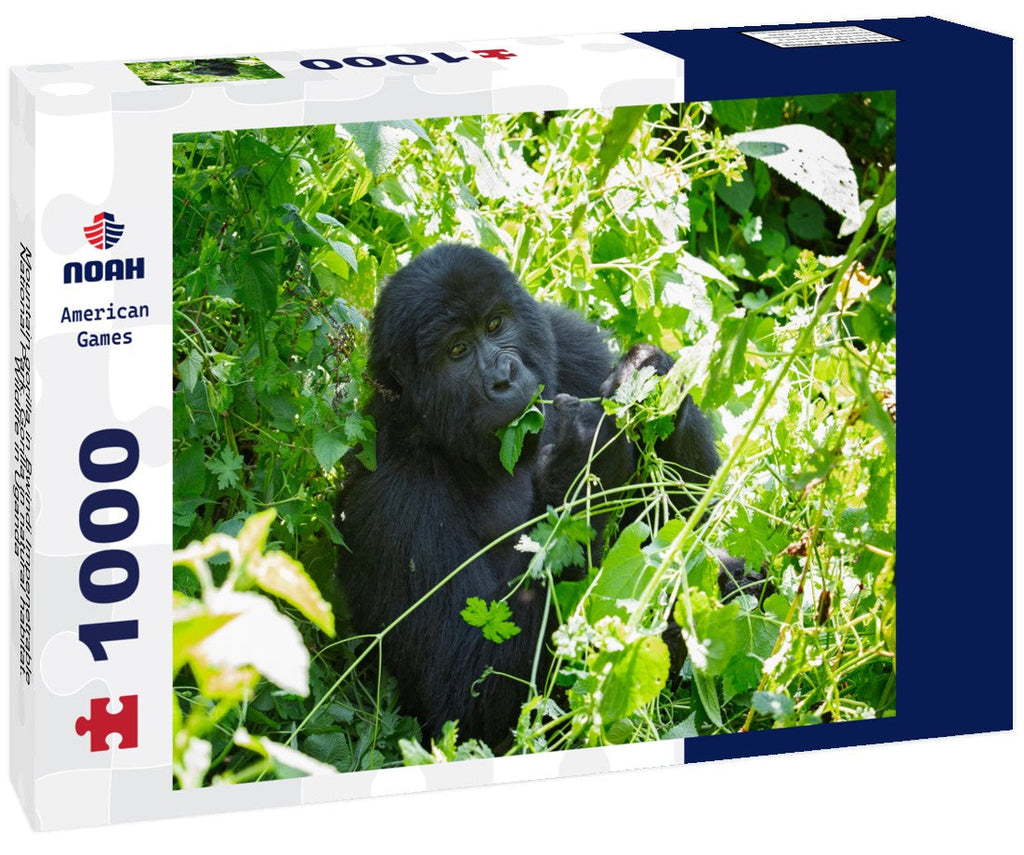 Mountain Gorilla in Bwindi Impenetrable National Park, Uganda. 1000pc Puzzle