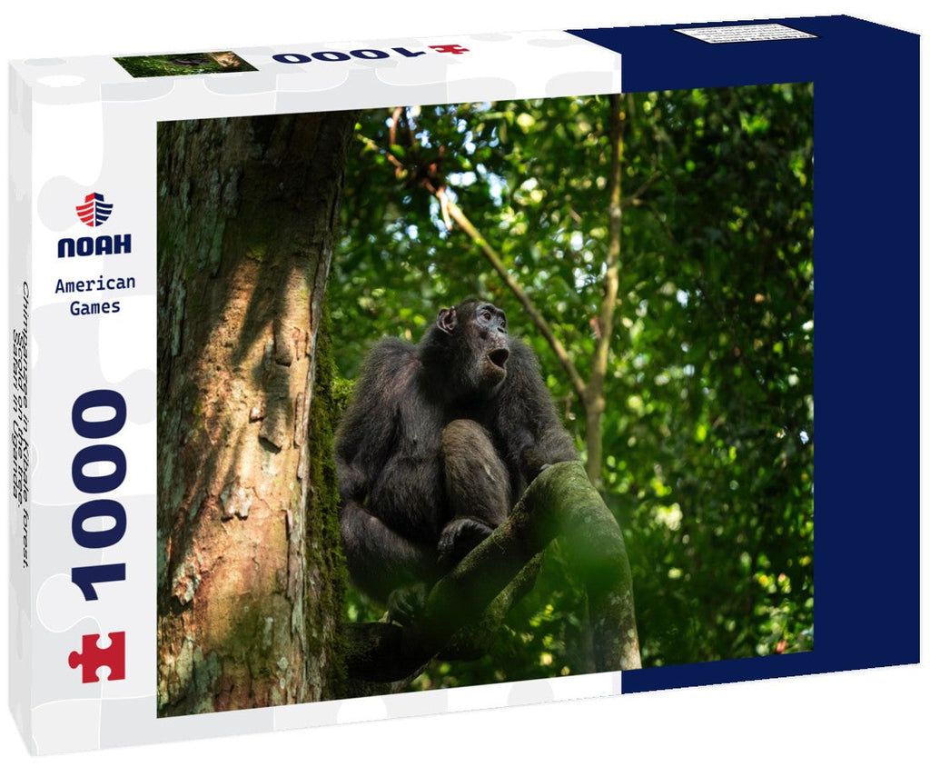 Chimpanzee scolding a tree in Kibale Forest during a safari in Uganda. 1000pc Puzzle