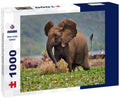 Elephant in the Kazinga Channel – 1000 Piece Wildlife Puzzle