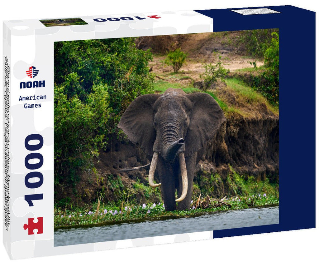 Elephant in the Rain – Murchison Falls 1000 Piece Wildlife Puzzle
