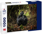 Mountain gorillas in Mgahinga Gorilla National Park, Uganda. 1000pc Puzzle