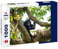 Chimpanzee on a branch in Budongo Forest Park during a safari in Uganda. 1000pc Puzzle