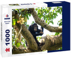 Chimpanzee on a branch in Budongo Forest Park during a safari in Uganda. 1000pc Puzzle