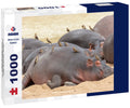 Red-billed woodpecker, Tanzania, Africa, warms over sleeping hippos. 1000pc Puzzle