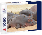 Red-billed woodpecker, Tanzania, Africa, warms over sleeping hippos. 1000pc Puzzle