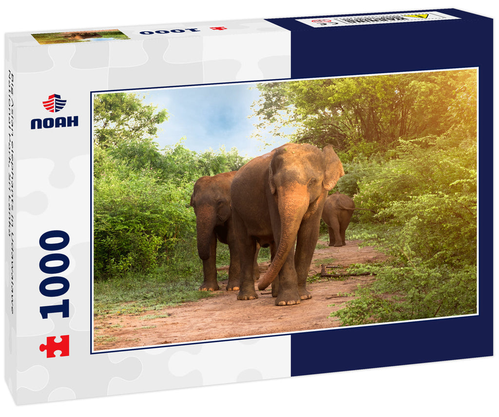 Big Asian Elephants – 1000 Piece Wildlife Puzzle