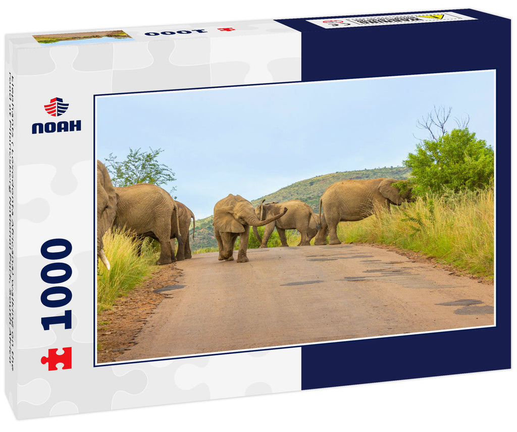 Elephants ( Loxodonta Africana) walking on the road at Pilanesberg National Park, South Africa 1000pc Puzzle