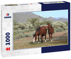 Wild Horses of the Sonoran Desert – 1000 Piece Wildlife Puzzle