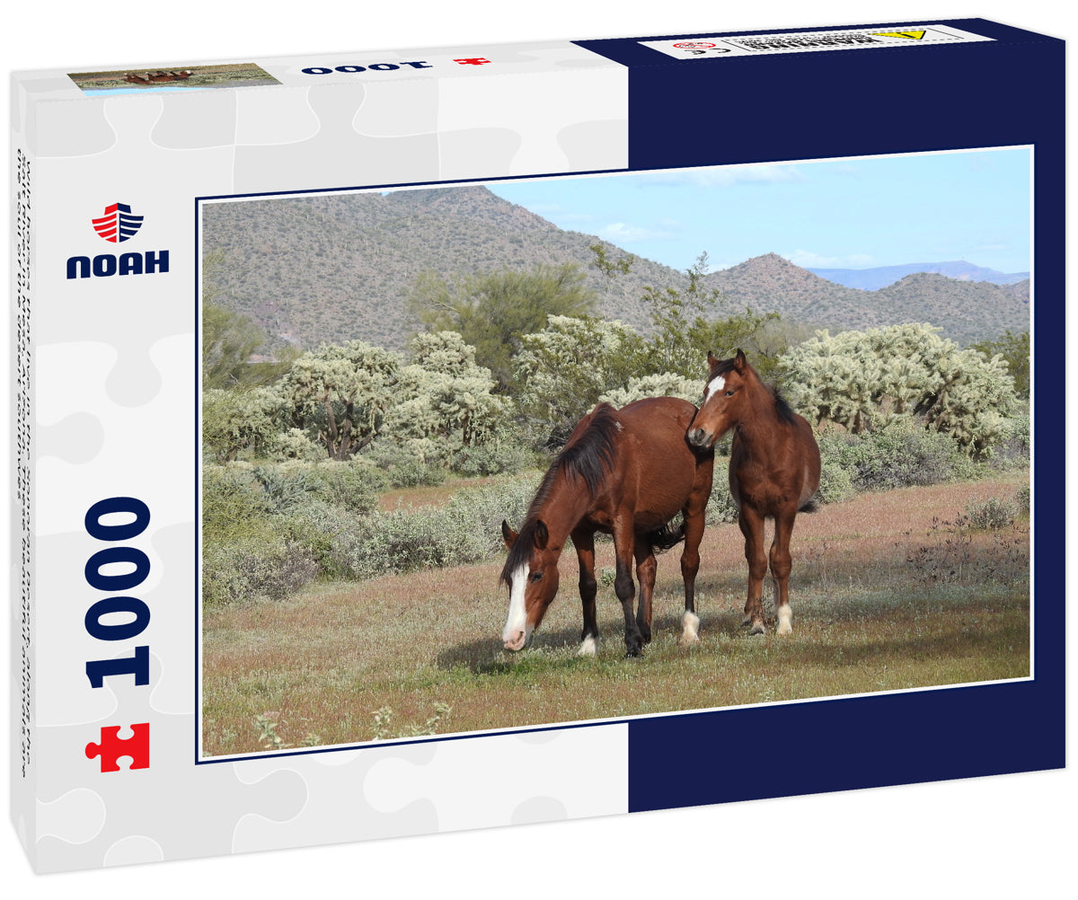 Wild Horses of the Sonoran Desert – 1000 Piece Wildlife Puzzle