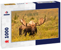 Moose, Denali, Alaska 1000pc Puzzle