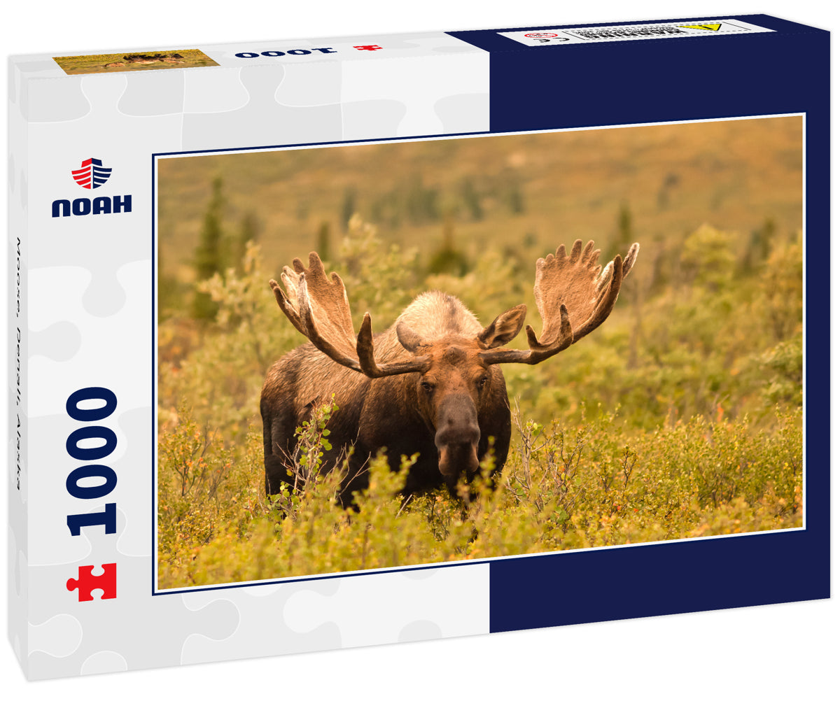 Moose, Denali, Alaska 1000pc Puzzle