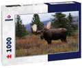 Beautiful wild moose bull in National park Denali in Alaska 1000pc Puzzle