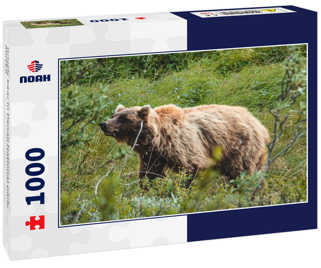 Grizzly bear in Denali National park, Alaska 1000pc Puzzle