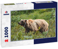 Grizzly bear in Denali National park, Alaska 1000pc Puzzle