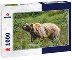 Grizzly bear in Denali National park, Alaska 1000pc Puzzle