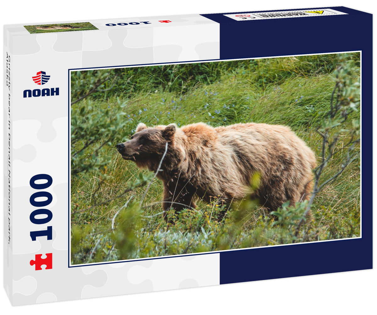 Grizzly bear in Denali National park, Alaska 1000pc Puzzle