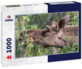 Wild moose in Denali National Park (Alaska) 1000pc Puzzle