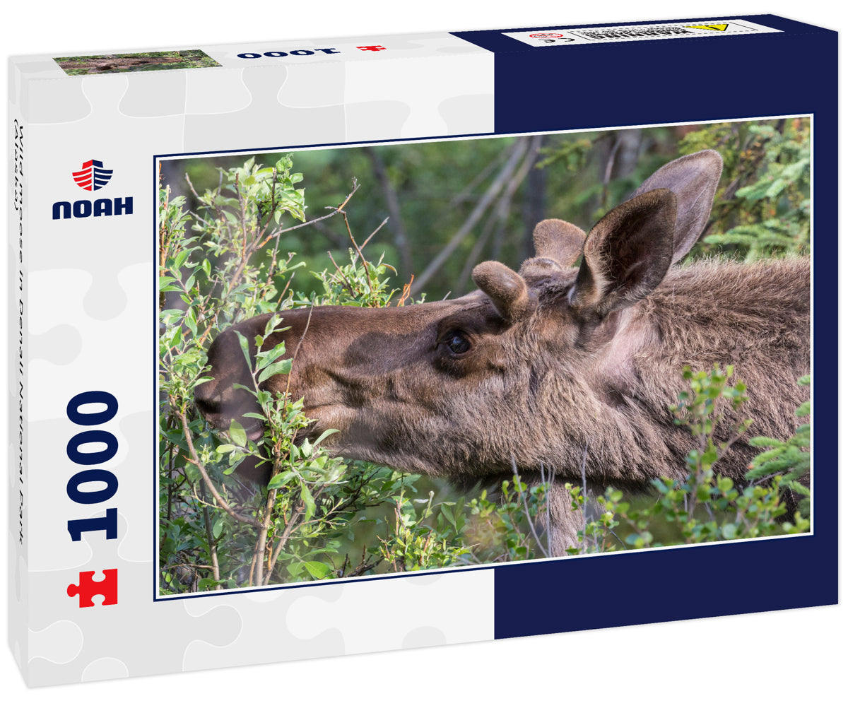 Wild moose in Denali National Park (Alaska) 1000pc Puzzle