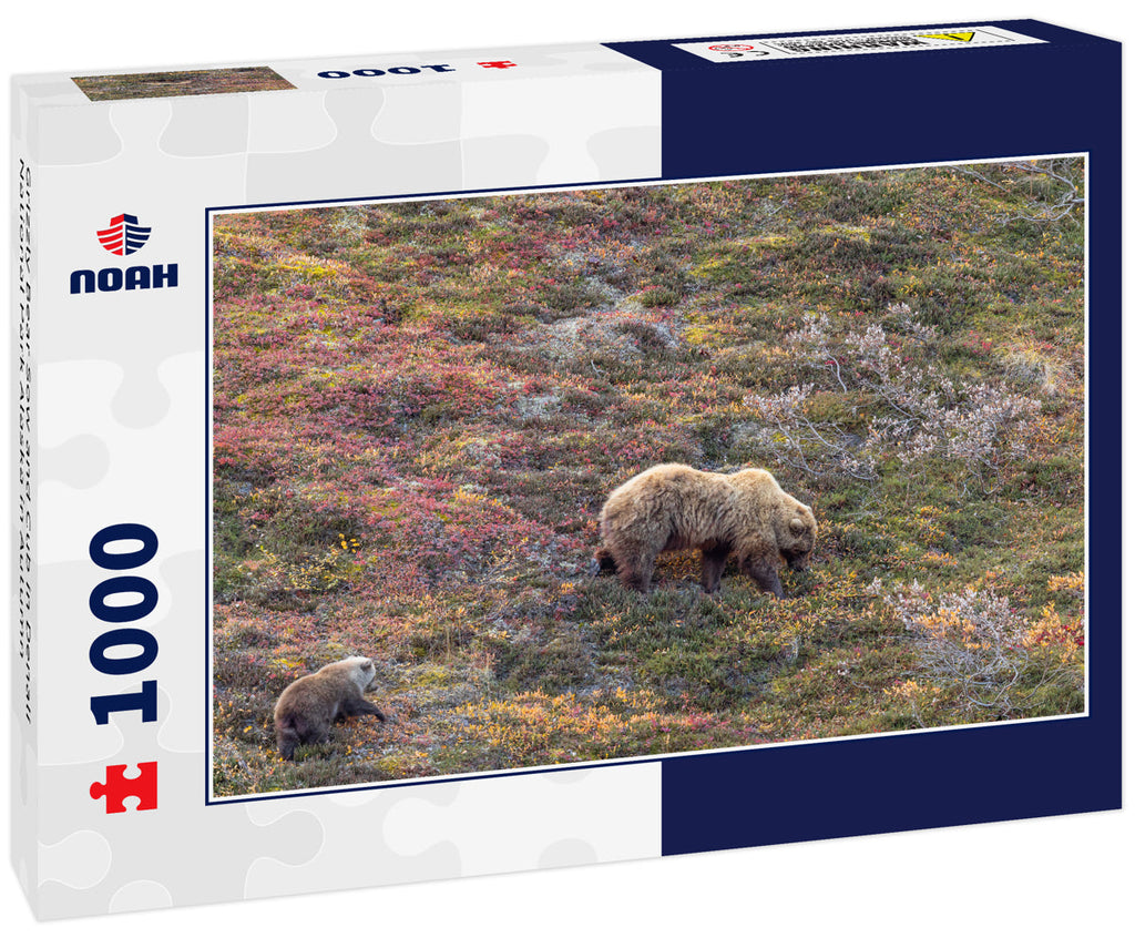 Grizzly Bear Sow and Cub in Denali National Park Alaska in Autumn 1000pc Puzzle