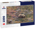 Grizzly Bear Sow and Cub in Denali National Park Alaska in Autumn 1000pc Puzzle