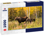 Cow Moose leads Her Calf Across Road Near Denali Alaska 1000pc Puzzle