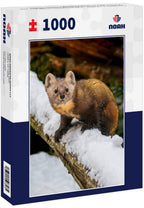 Pine Marten on Alert – 1000 Piece Wildlife Puzzle