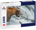 Adult coastal brown bear feeds on salmon as they make their way up and over waterfalls on route to the natal waters, Alaska 1000pc Puzzle
