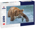 Brown Bear fishing for Salmon at McNeil River, Alaska 1000pc Puzzle