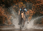 A vintage action shot of a cowboy riding a horse, wading through the water and holding a rifle, Texas 1000pc Puzzle