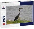 Birds, Ducks, Coypu, Nutria in Irving, Texas, USA 1000pc Puzzle