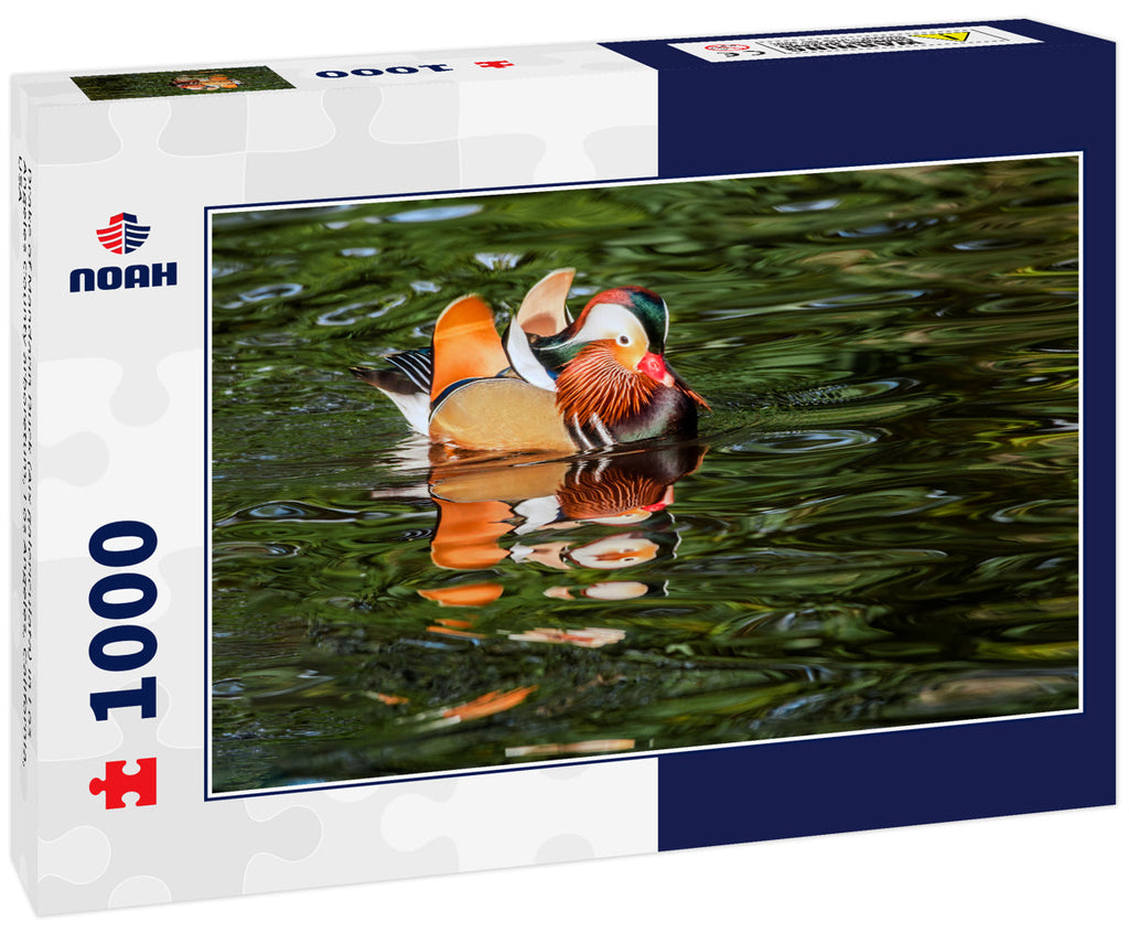 Drake of Mandarin Duck (Aix galericulata) in Los Angeles County arboretum, Los Angeles, California, USA 1000pc Puzzle