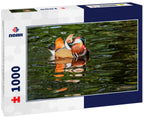 Drake of Mandarin Duck (Aix galericulata) in Los Angeles County arboretum, Los Angeles, California, USA 1000pc Puzzle