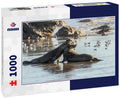 Northern Elephant Seals Fighting – 1000 Piece Wildlife Puzzle