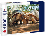 Aldabra Giant Tortoises – 1000 Piece Wildlife Puzzle