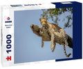 Hanglow - Leopard on a tree in Serengeti, Tanzania 1000pc Puzzle