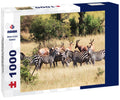 Burchell's Zebras in Ikoma, near Serengeti National Park, Tanzania, East Africa 1000pc Puzzle