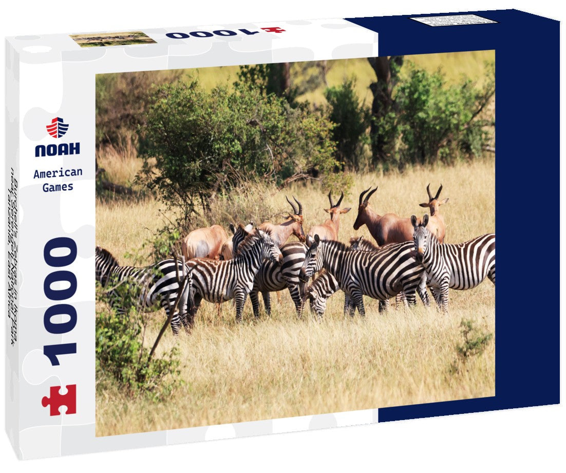 Burchell's Zebras in Ikoma, near Serengeti National Park, Tanzania, East Africa 1000pc Puzzle