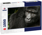 Mountain gorilla (Gorilla beringei beringei). Bwindi Impenetrable Forest. Uganda 1000pc Puzzle