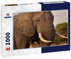 Bull Elephant – 1000 Piece Wildlife Puzzle
