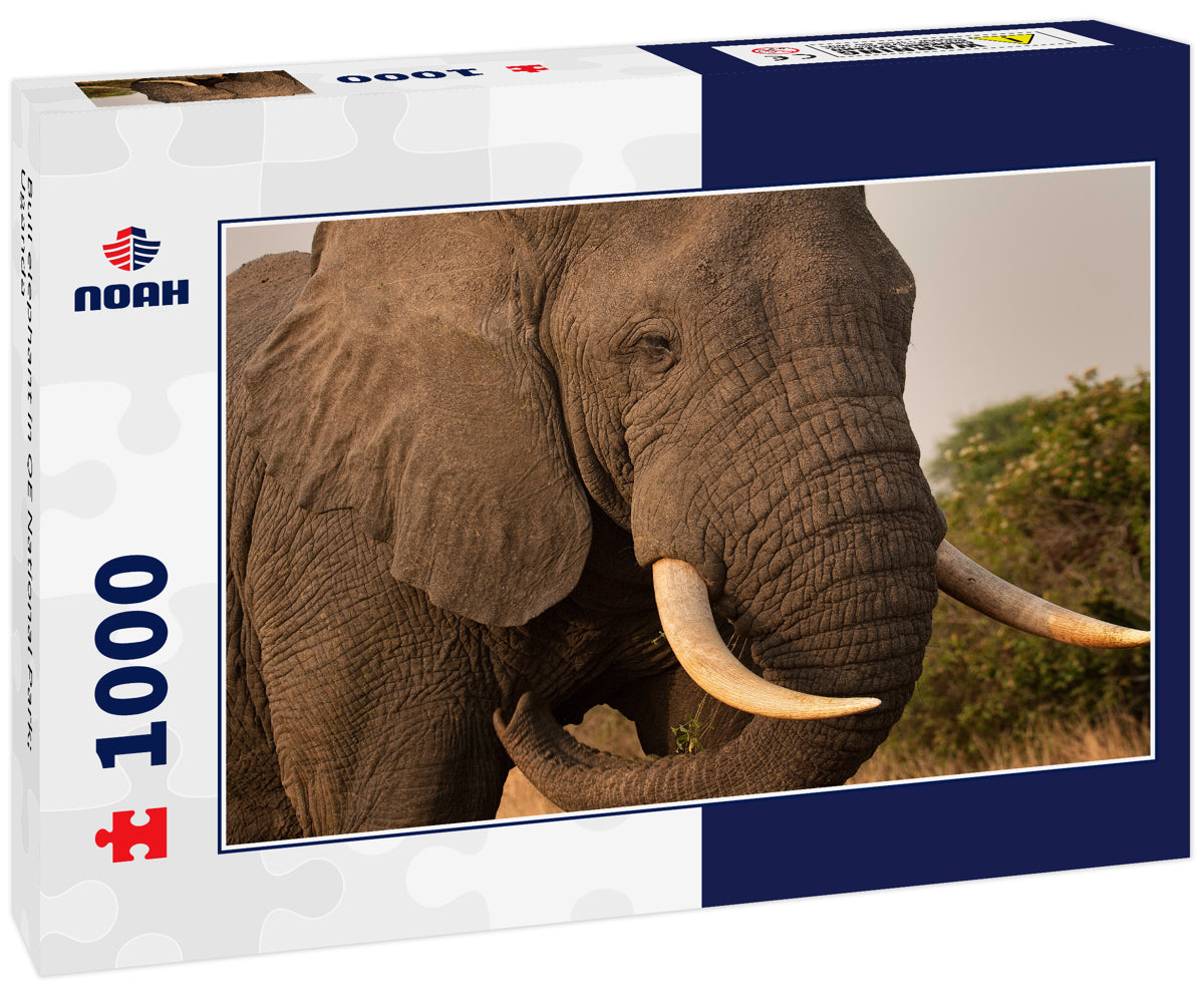 Bull Elephant – 1000 Piece Wildlife Puzzle