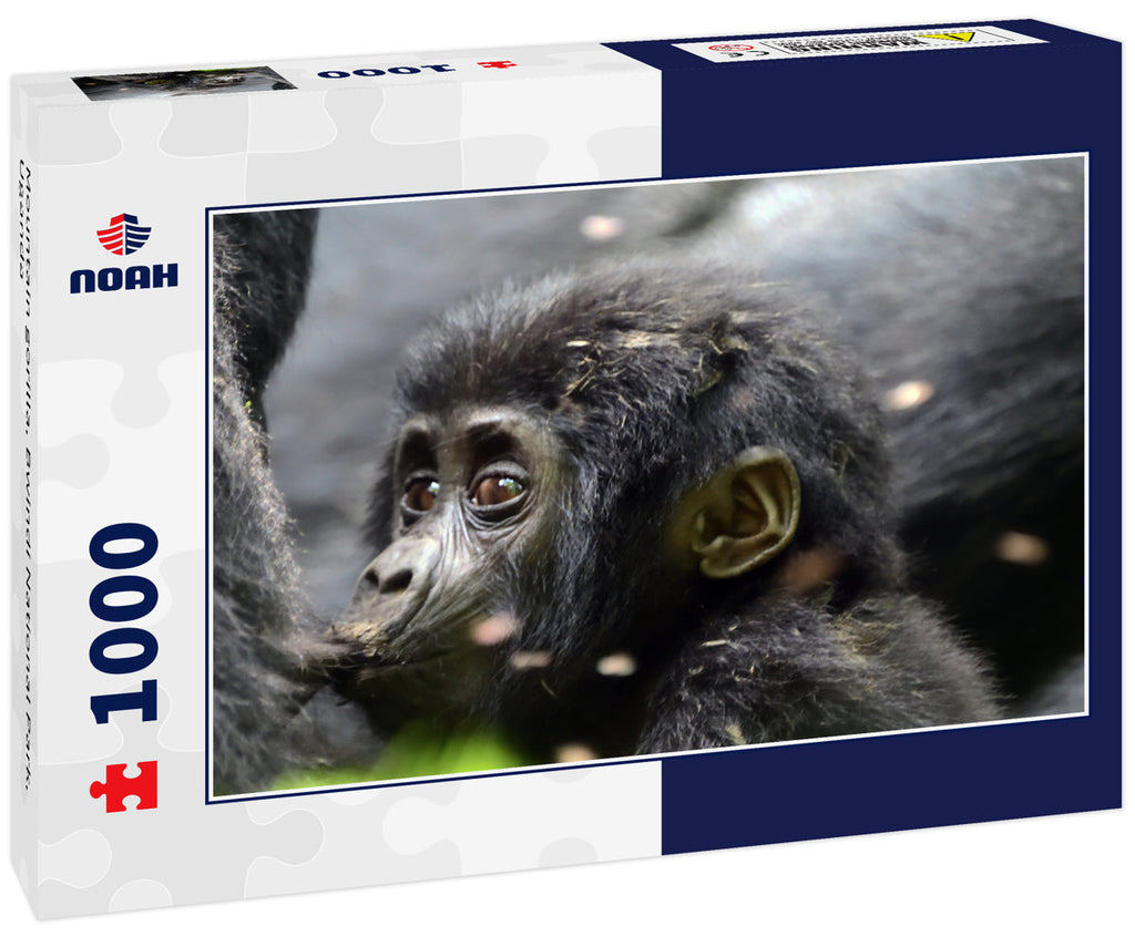 Mountain gorilla, Bwindi National Park, Uganda 1000pc Puzzle