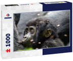 Mountain gorilla, Bwindi National Park, Uganda 1000pc Puzzle